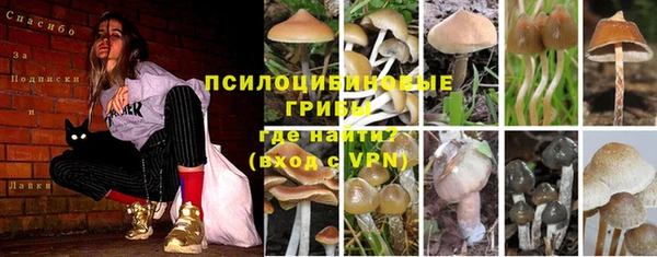 jwh Пролетарск