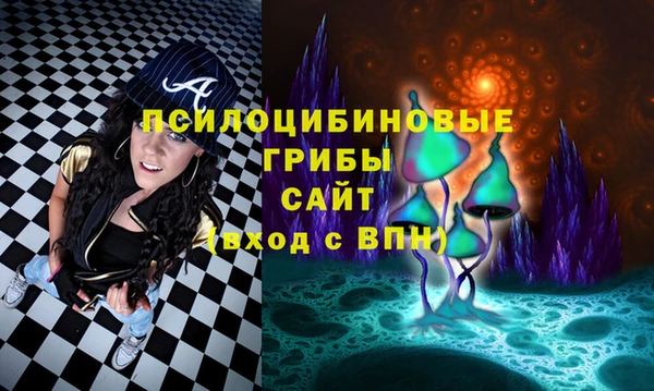 соль ск Дмитров