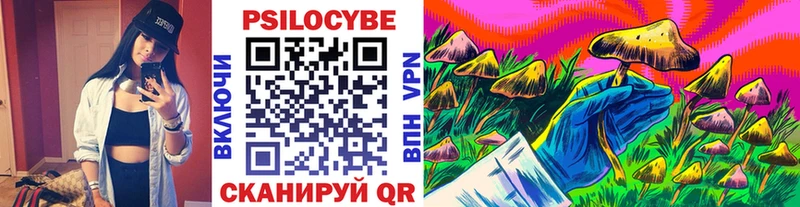 где можно купить   гидра рабочий сайт  Псилоцибиновые грибы Psilocybe  Гагарин 